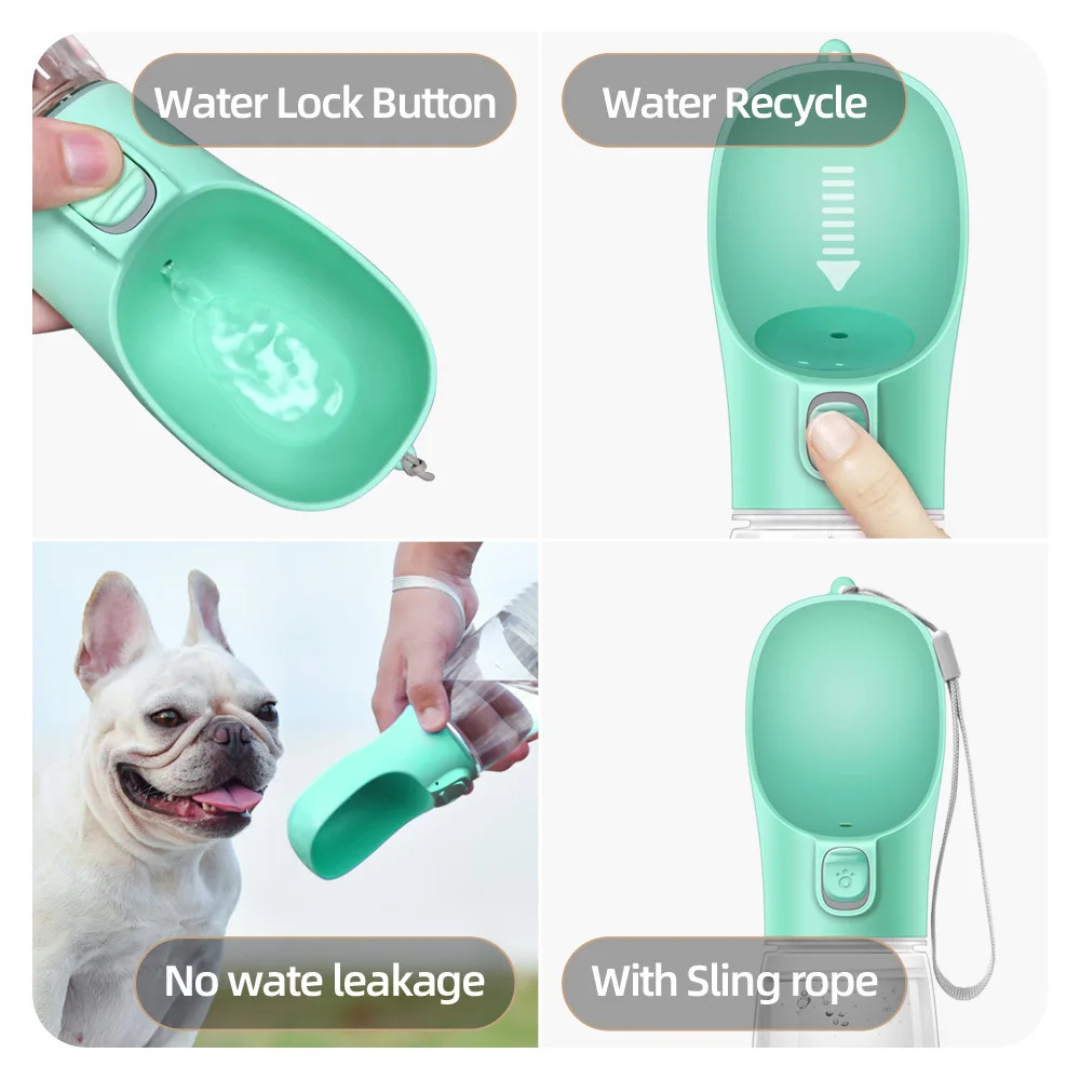 PawBottle