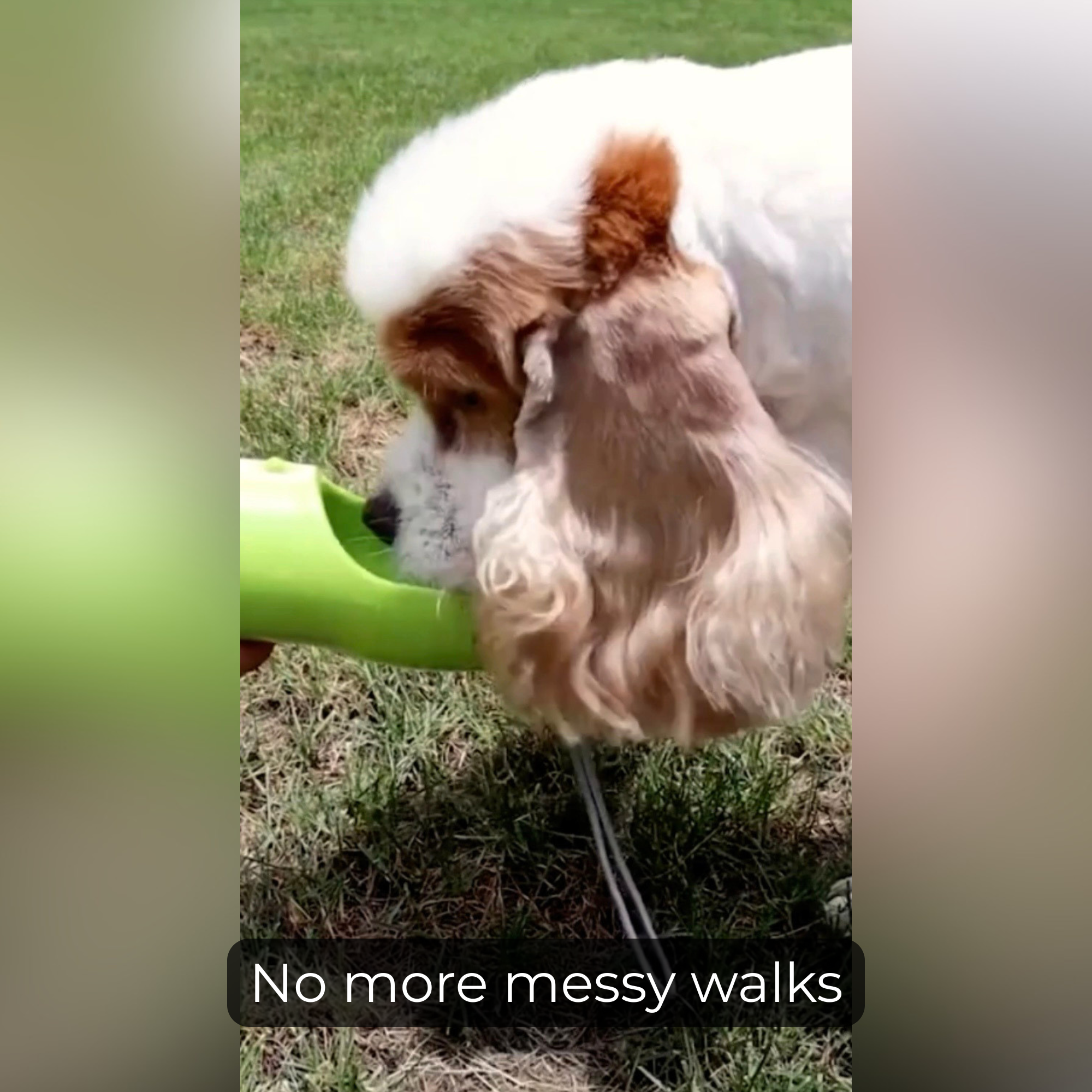 PawBottle